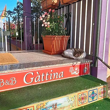 住宿加早餐酒店 Gattina Naso